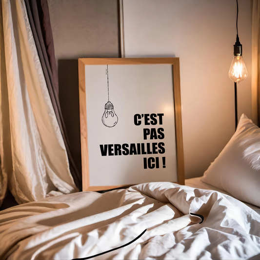 C'est pas Versailles ici ! - Affiche