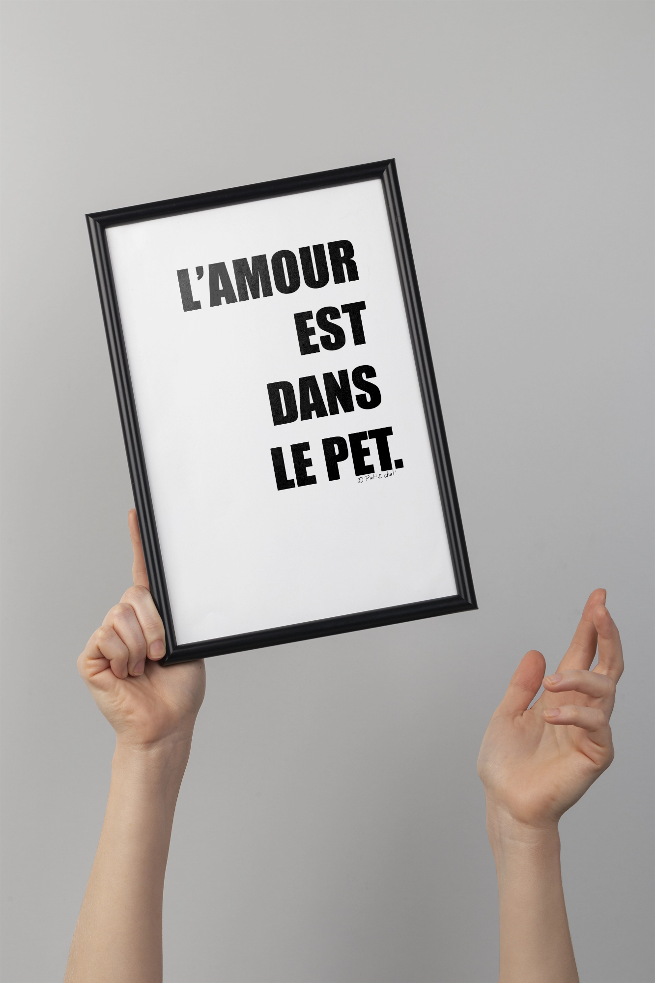 L'amour est dans le pet - Affiche